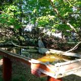 photo 2022-04-26 17-07-20