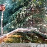 photo 2023-09-27 10-31-29