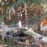 photo 2023-09-10 06-48-12