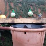 photo 2023-12-30 07-50-29