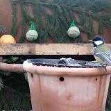 photo 2024-01-08 08-43-59