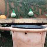 photo 2024-01-13 09-50-45