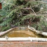 photo 2023-03-20 15-01-50