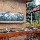 photo 2022-11-17 11-51-26