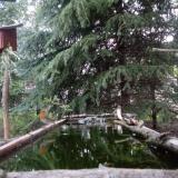 photo 2023-04-18 06-15-45