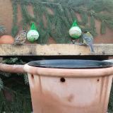 photo 2024-01-25 07-57-52