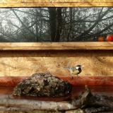 photo 2022-02-06 10-10-46