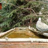 photo 2023-03-20 11-37-59