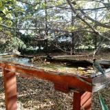 photo 2022-10-19 09-36-00