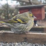 393175604 692217029721809 6245247814100762362 n