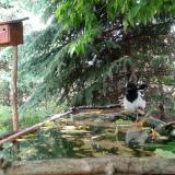 photo 2023-05-23 13-09-37