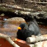 photo 2022-04-06 12-36-43 rigo