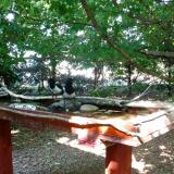 photo 2022-06-05 16-20-12