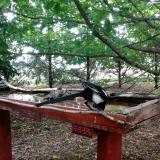 photo 2022-06-09 10-23-22