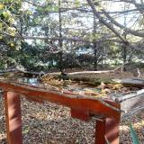 photo 2022-10-20 08-34-33