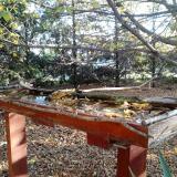 photo 2022-10-20 08-36-16