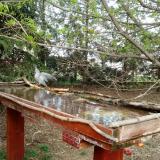 photo 2022-04-08 15-53-31