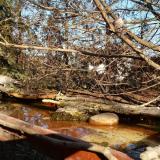 photo 2022-02-16 14-27-36