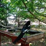 photo 2022-05-23 10-04-37