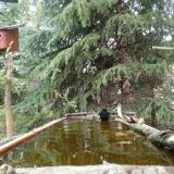 photo 2023-04-03 12-36-37