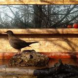 photo 2022-02-13 09-36-56