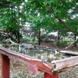 photo 2022-05-10 16-37-55