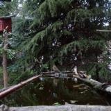 photo 2023-04-03 19-01-22