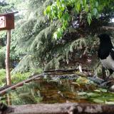 photo 2023-05-17 17-31-10