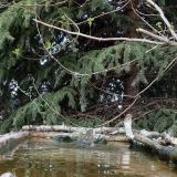 photo 2023-03-22 15-56-41