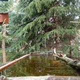 photo 2023-04-03 10-59-05