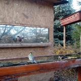 photo 2022-11-28 14-55-36