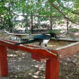 photo 2022-06-30 12-31-58