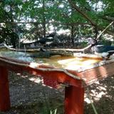 photo 2022-07-21 16-10-19