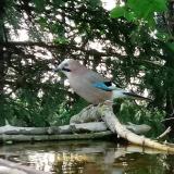 photo 2022-04-29 13-32-19 szajko