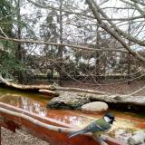 photo 2022-02-18 11-01-33