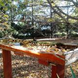 photo 2022-10-20 09-01-21