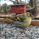 405605188 348066701147301 5421382833217444525 n