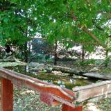 photo 2022-05-12 11-41-52