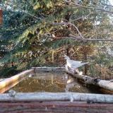 photo 2023-03-19 06-36-09