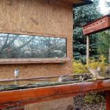 photo 2022-11-17 13-26-32