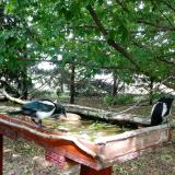 photo 2022-05-23 15-11-28