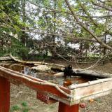 photo 2022-04-08 12-37-18