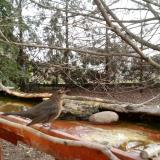 photo 2022-02-21 08-47-03