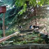 photo 2023-05-25 07-45-13