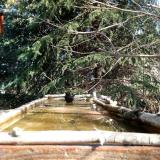 photo 2023-03-18 09-56-23