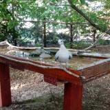 photo 2022-06-29 18-52-34