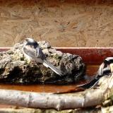 photo 2022-02-14 13-15-46 oszapo