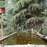 photo 2023-04-03 15-31-05