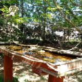 photo 2022-04-14 13-43-20