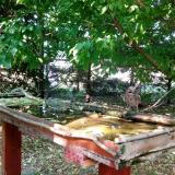 photo 2022-05-12 16-27-05